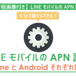 LINEモバイルのAPN設定方法と3つの注意点!誰でも5分で完了!
