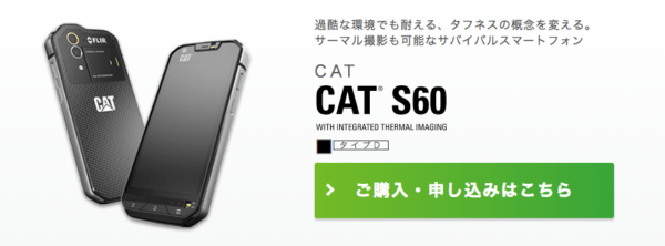IIJmioのcats60