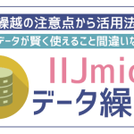 IIJmioって余った容量をデータ繰り越しできる?通信量を賢く使う秘密を伝授!