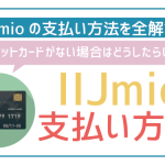 IIJmio支払い方法解説!クレジットカードのみOK。無い場合の対処法は?