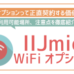 IIJmioのWiFiオプションって契約する意味ある?IIJmio WiFi by エコネクト