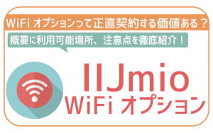 IIJmioのWiFiオプションって契約する意味ある?IIJmio WiFi by エコネクト