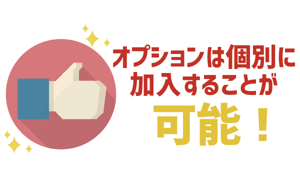 不要な有料オプションに注意！ (8)