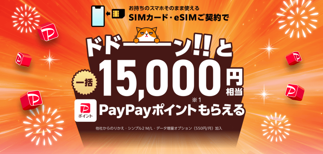 ワイモバイルヤフー店ポイント還元