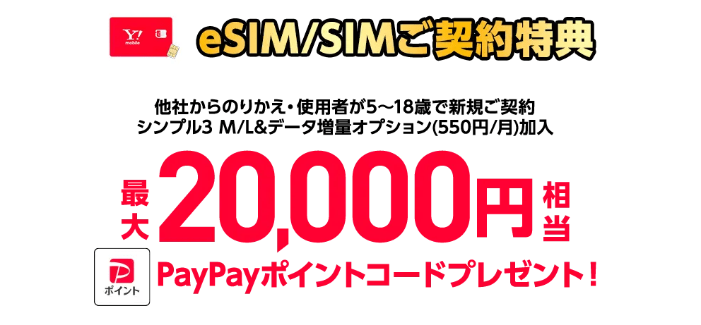 ワイモバイルPayPay還元キャンペーン