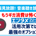 BIGLOBEモバイルの「エンタメフリー・オプション」は上手く活用すれば最強のオプション!