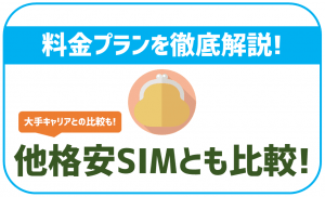 BIGLOBE料金プランを解説!どれくらい安い?