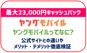 ヤングモバイルとは？