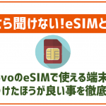 povoのeSIMって何?利用できる端末や使う前にしっておきたい注意点