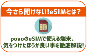 povoのeSIM