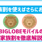 BIGLOBEモバイルは家族割を使ってさらにお得にしよう!適用の際の注意点もあり!