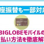 BIGLOBEモバイルの支払い方法を解説!クレカ以外の支払いもOK?