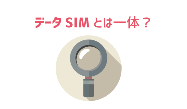 データSIMと音声SIMの違い1