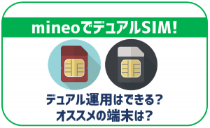 mineoでもデュアルSIMは利用!DSDSとかの意味は?