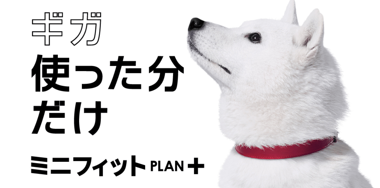 ミニフィットプラン+