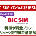 BIC SIMのデメリットや評判は?料金やプランから口コミまで!これさえ読めば丸わかり!