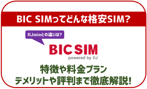 BIC SIMのデメリットや評判は？料金やプランから口コミまで！これさえ読めば丸わかり！