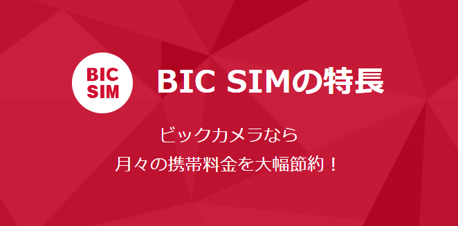 BICSIM特徴
