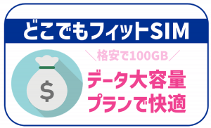 どこでもフィットSIMの速度は?通信事情から口コミまで徹底解説