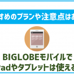 BIGLOBEモバイルでiPadやタブレットは使える?どのプランが良い?