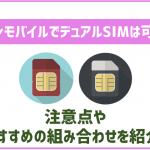 イオンモバイルでデュアルSIMは使える?おすすめの組み合わせは?